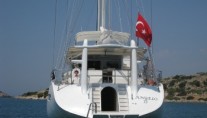 ANGELO II swim platform
